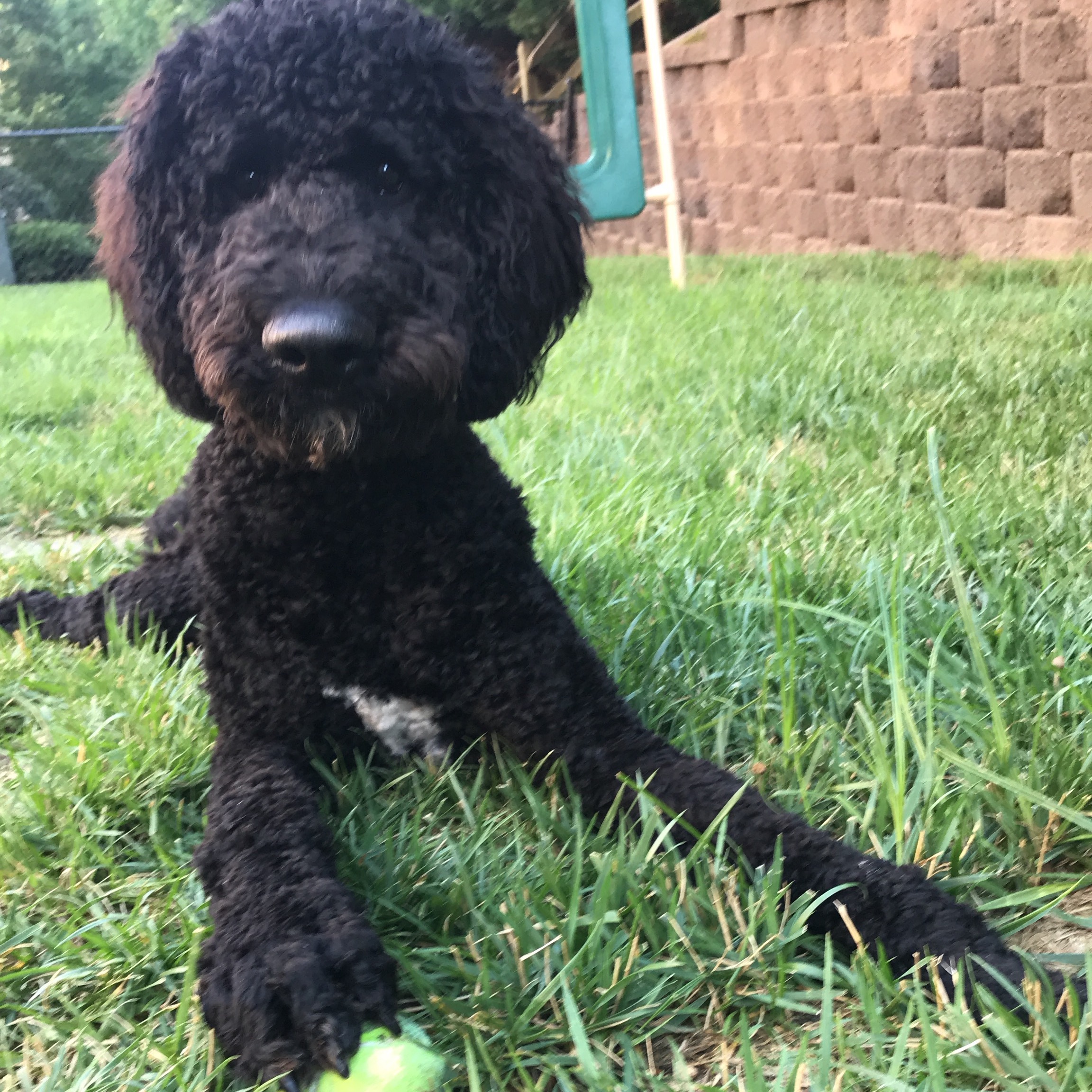 finley